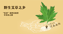 艾草越嫩越好，還是越久越好？悄悄告訴你：艾草這樣用，效果最好！