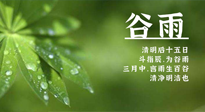 【二十四節(jié)氣灸】谷雨時(shí)節(jié)，用艾為您的健康加上一道保險(xiǎn)！