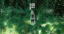 【二十四節(jié)氣灸】芒種節(jié)氣，培土補(bǔ)脾、養(yǎng)陰生津！艾灸這些穴位事半功倍！