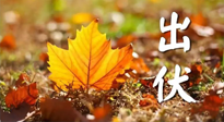 【三伏養(yǎng)生】出伏后做好養(yǎng)生很關(guān)鍵！一行要注意！
