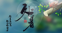 【二十四節(jié)氣灸】處暑艾灸，排夏季余毒，健康迎秋冬！