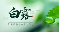 【二十四節(jié)氣灸】白露涼爽，養(yǎng)心肝脾胃、滋陰潤肺是關鍵！
