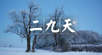 【三九養(yǎng)生】冬二九，扶陽(yáng)補(bǔ)腎氣，讓你陽(yáng)氣充足一整年！