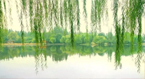 【養(yǎng)生知識】已入五九，六九將至，五九的養(yǎng)生秘訣，你知道嗎？
