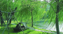 【養(yǎng)生知識(shí)】元宵入六九，春季已至，六九天的養(yǎng)生知識(shí)你知道多少？