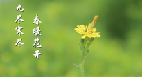 【九九養(yǎng)生】三月四日“九九日”，寒冬已過。春天養(yǎng)好身，全年不怕??！