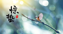 【二十四節(jié)氣灸】驚蟄節(jié)氣，艾灸喚醒抵抗力、補充陽氣的最好時機(jī)！