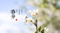 【二十四節(jié)氣灸】春分，平分了大地晝夜；艾灸，平衡了身體陰陽！