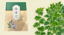 【行業(yè)資訊】國內(nèi)首部艾草專著《南陽艾》，在南陽新書首發(fā)！