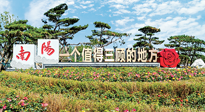 【行業(yè)資訊】南陽一個(gè)值得三顧的地方！“丹江水”“仙草艾”成為 “南陽禮物”新爆款！