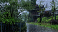 【艾灸知識】多雨的日子里，艾灸會不會加重濕氣呢？