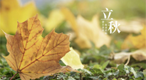 【節(jié)氣養(yǎng)生】甲辰立秋，“2做”、“2不做”，護(hù)好我們身體的正氣，預(yù)防外邪的侵襲！